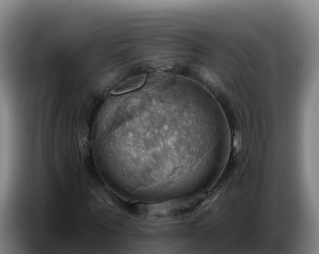 X0000086750867200704201723