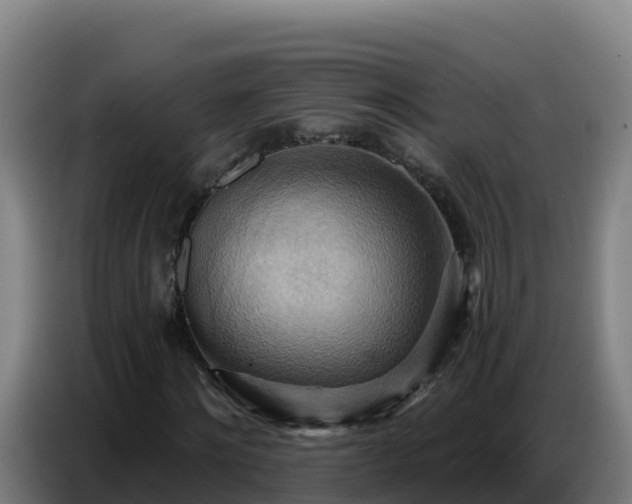 X0000086750868200704201723