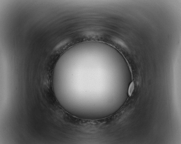 X0000086750869200704201723