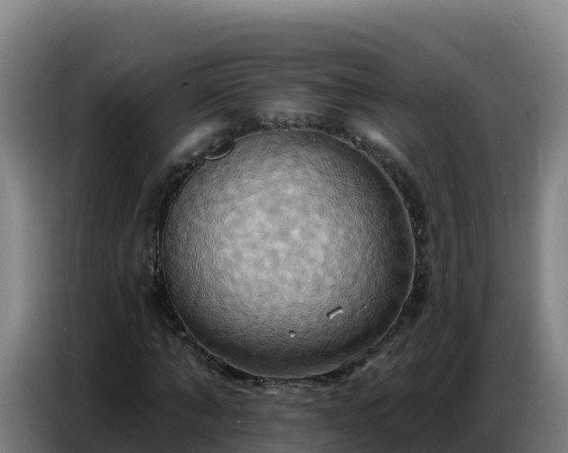 X0000086750870200704201723