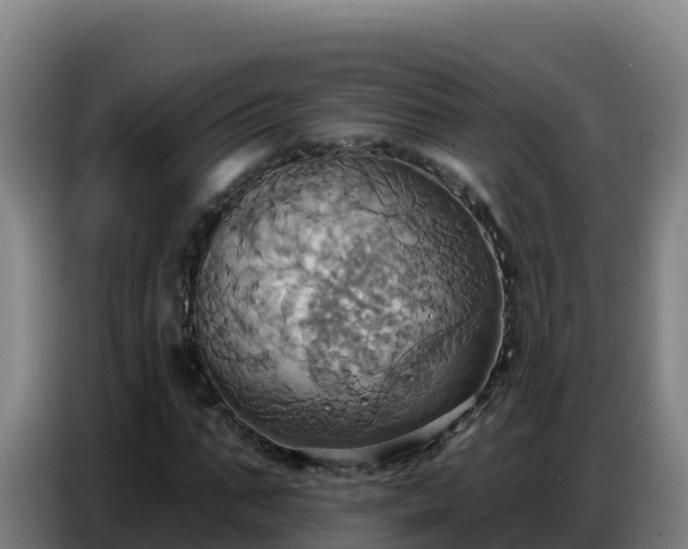X0000086750871200704201723