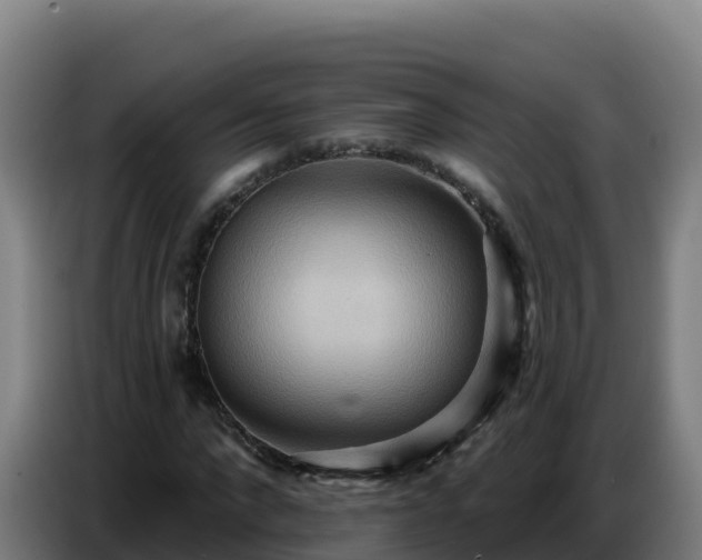 X0000086750872200704201723