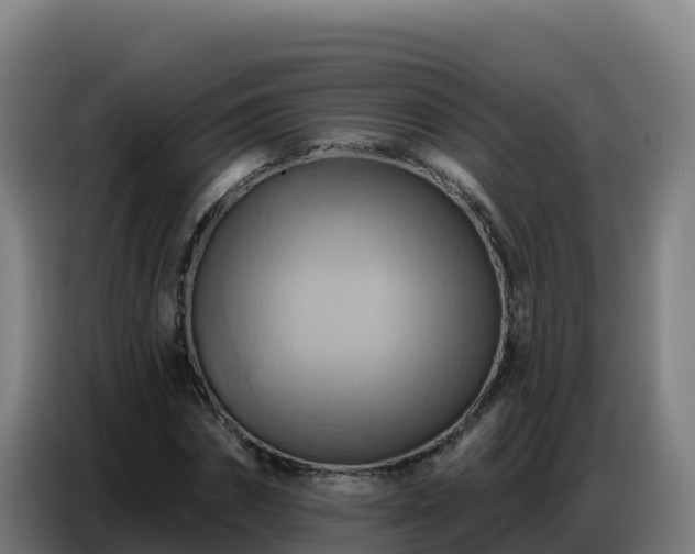 X0000086750874200704201723