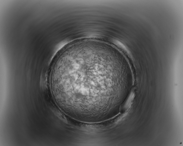 X0000086750875200704201723
