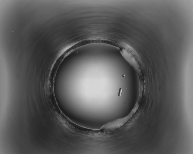 X0000086750876200704201723