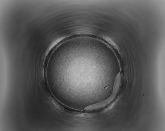 X0000086750877200704201723