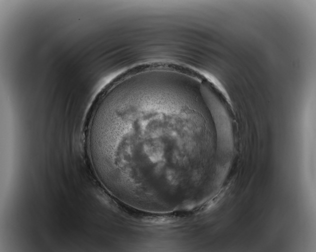 X0000086750879200704201723
