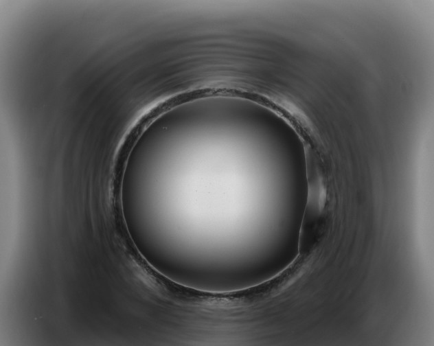 X0000086750880200704201723