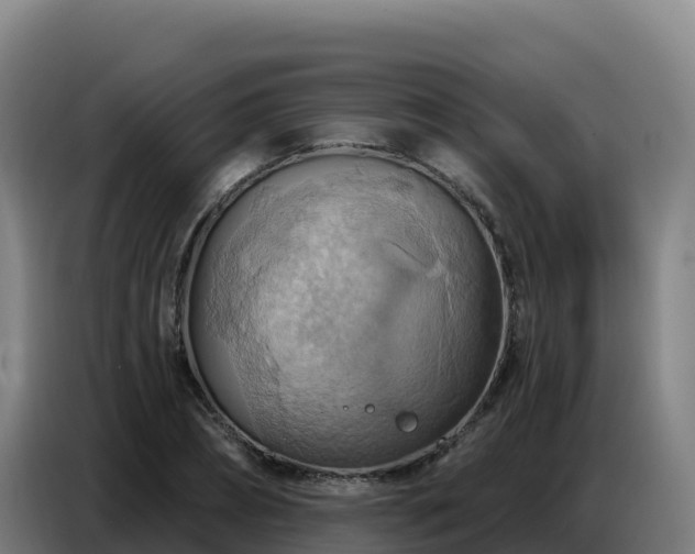X0000086750882200704201723
