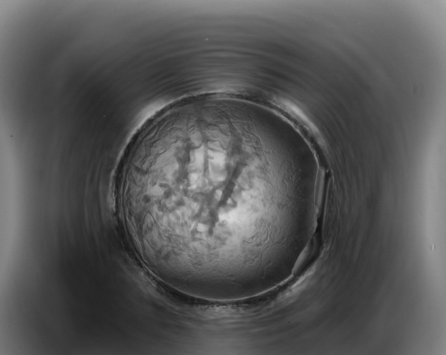 X0000086750883200704201723