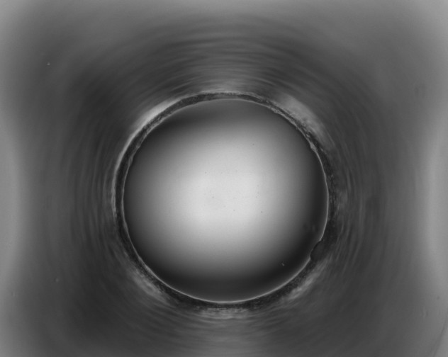 X0000086750884200704201723