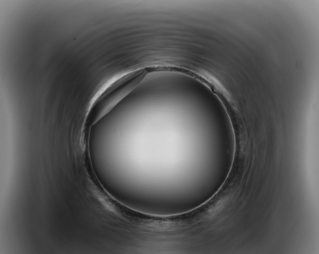X0000086750885200704201723