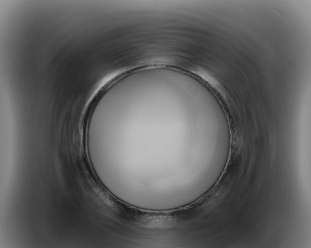 X0000086750886200704201723