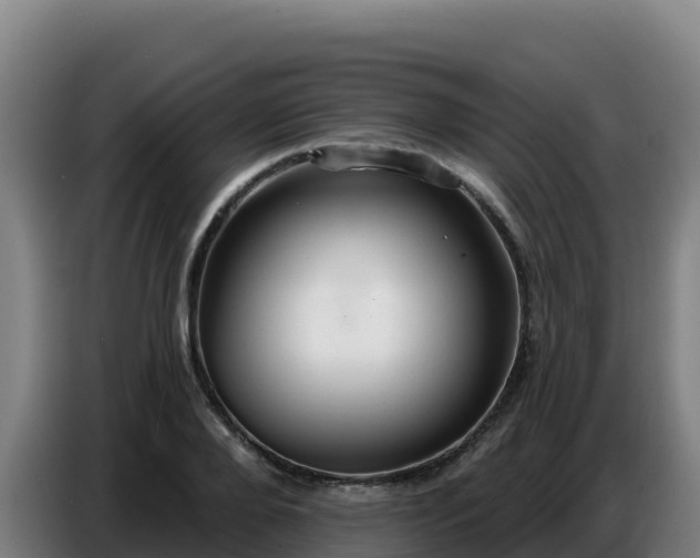 X0000086750888200704201723