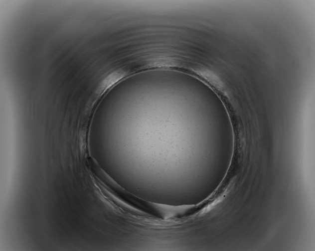 X0000086750889200704201723