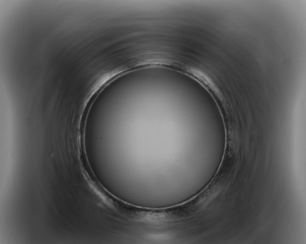 X0000086750890200704201723