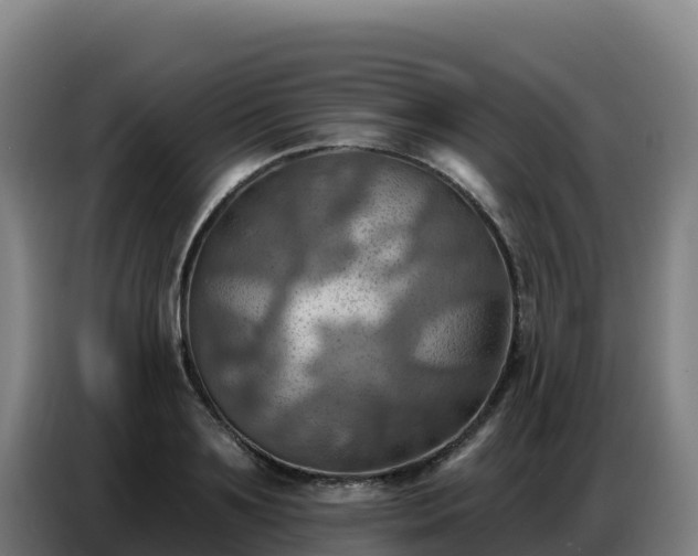 X0000086750891200704201723