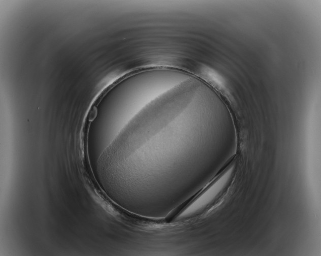 X0000086750892200704201723