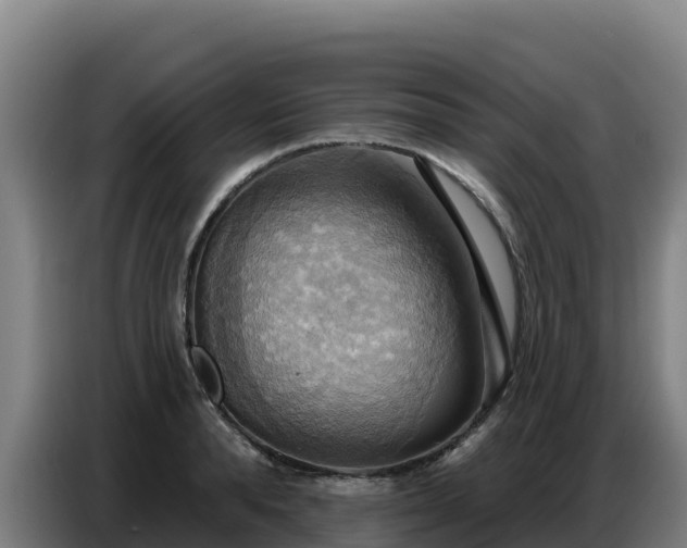X0000086750896200704201723