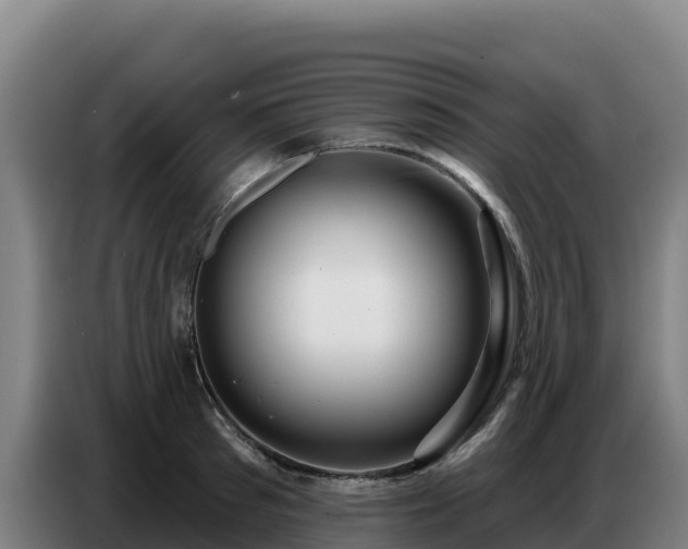 X0000086750897200704201723