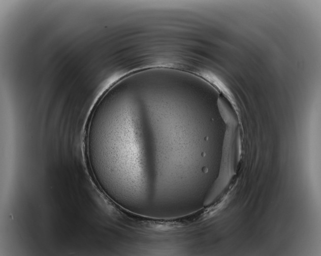 X0000086750899200704201723