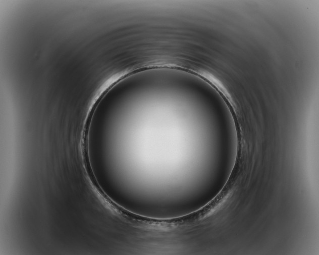 X0000086750901200704201723