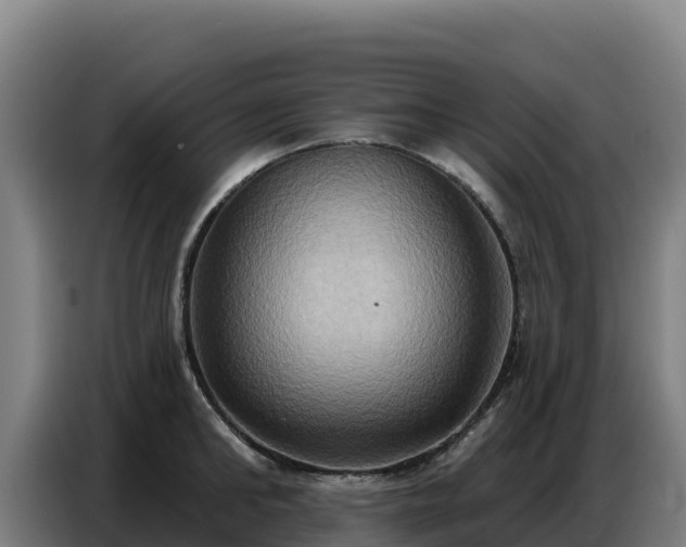 X0000086750902200704201723