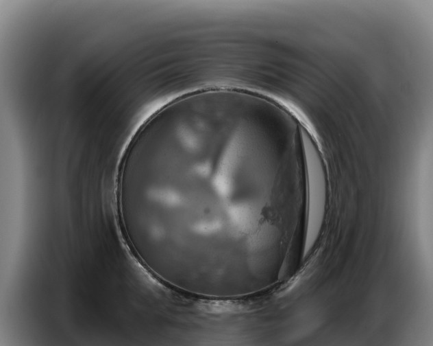 X0000086750903200704201723