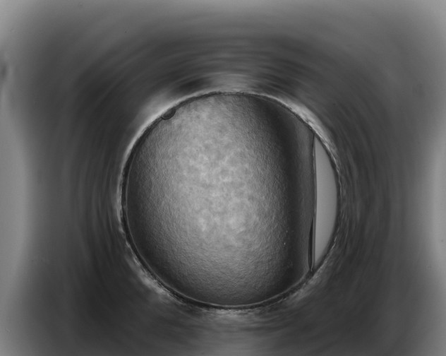 X0000086750904200704201723