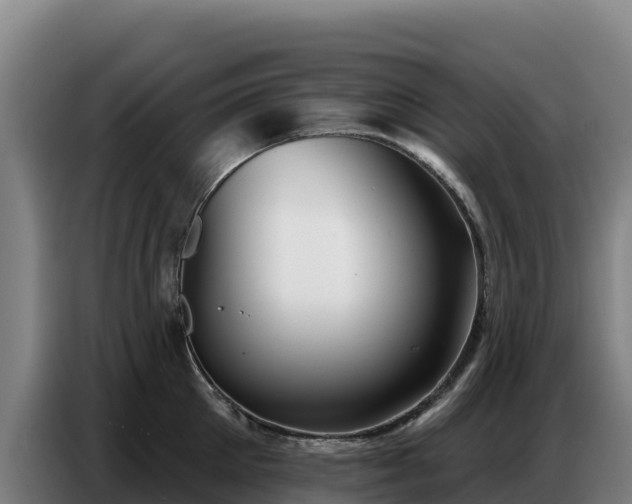 X0000086750905200704201723
