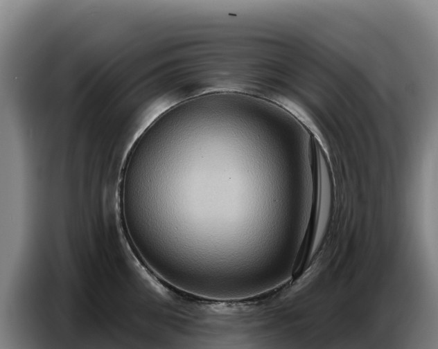 X0000086750906200704201723