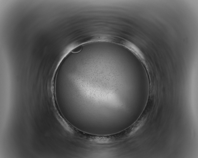 X0000086750907200704201723
