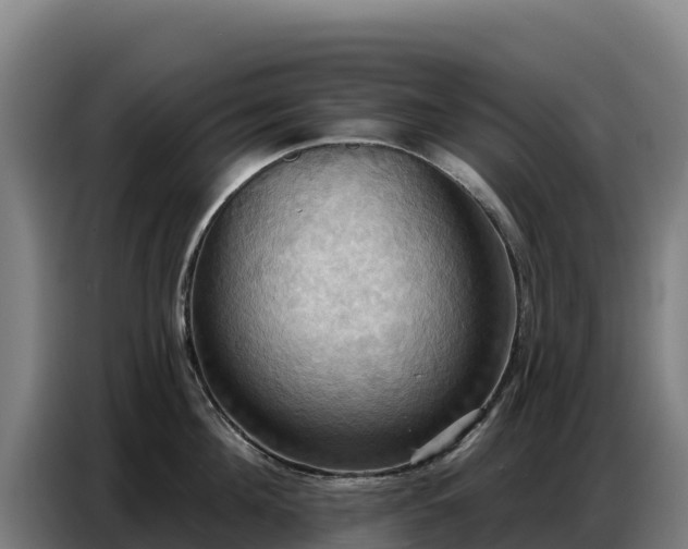 X0000086750908200704201723