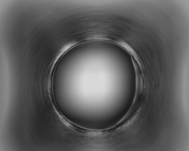 X0000086750909200704201723