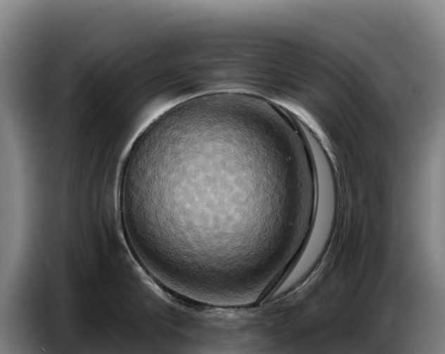 X0000086750910200704201723