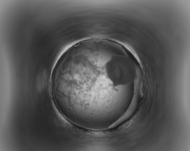X0000086750911200704201723
