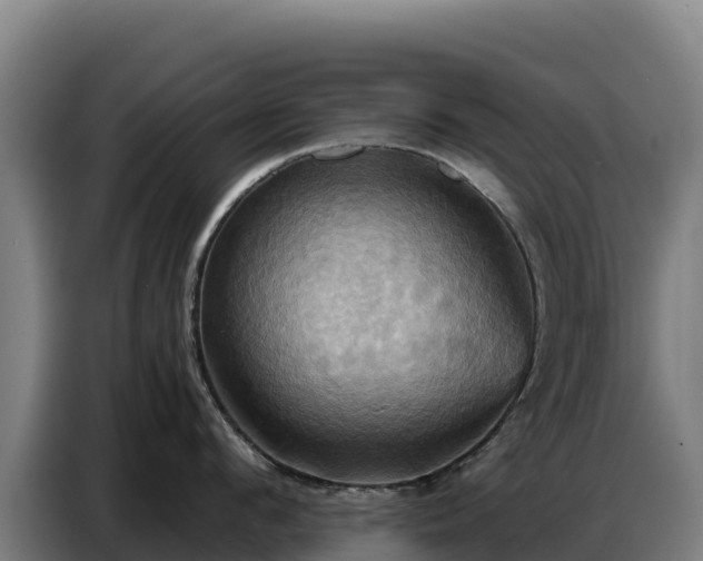 X0000086750912200704201723