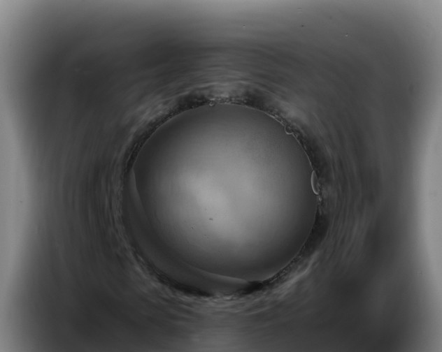 X0000086750913200704201722