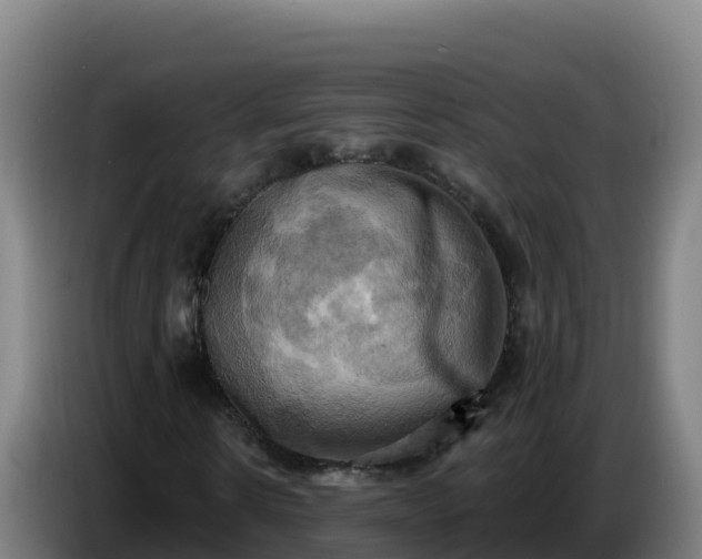 X0000086750914200704201722