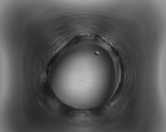X0000086750916200704201722
