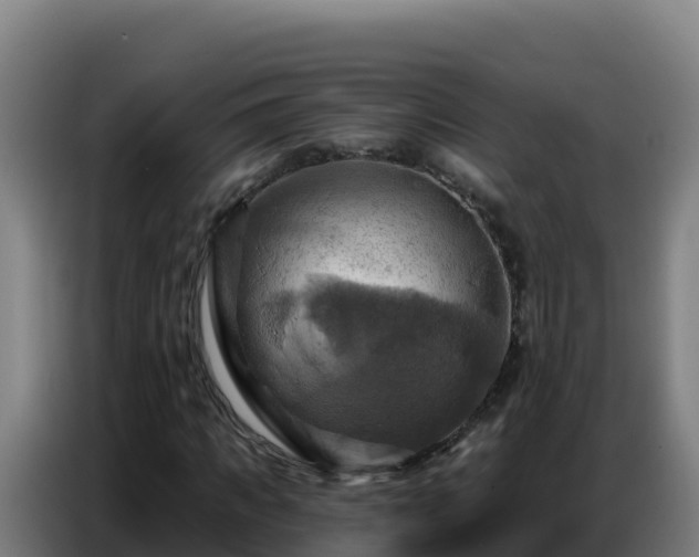 X0000086750917200704201722