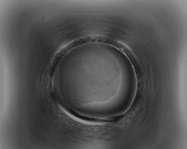 X0000086750919200704201722
