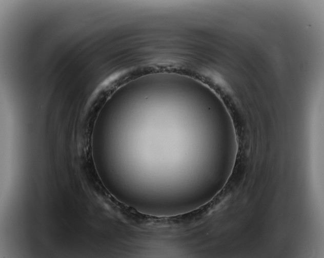 X0000086750920200704201722