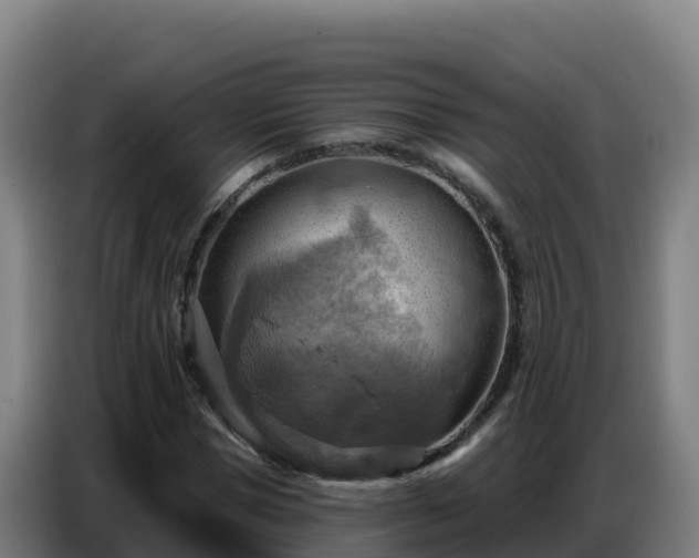 X0000086750921200704201722