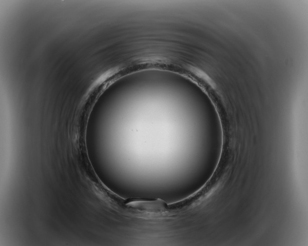 X0000086750922200704201722