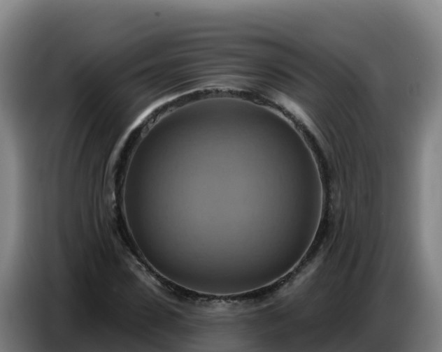X0000086750923200704201722
