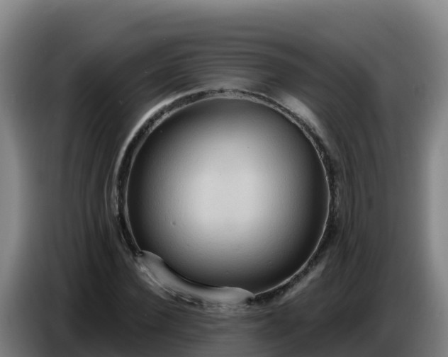 X0000086750924200704201722
