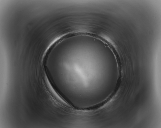 X0000086750925200704201722