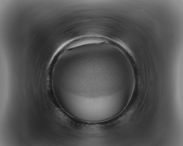 X0000086750926200704201722