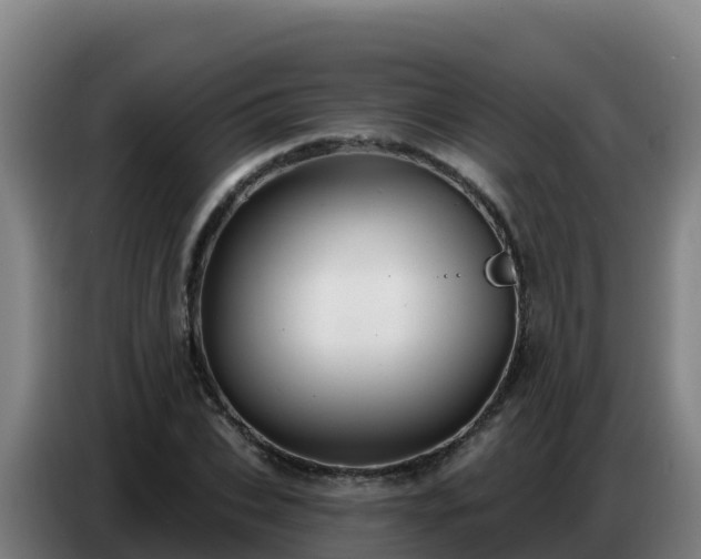 X0000086750927200704201722